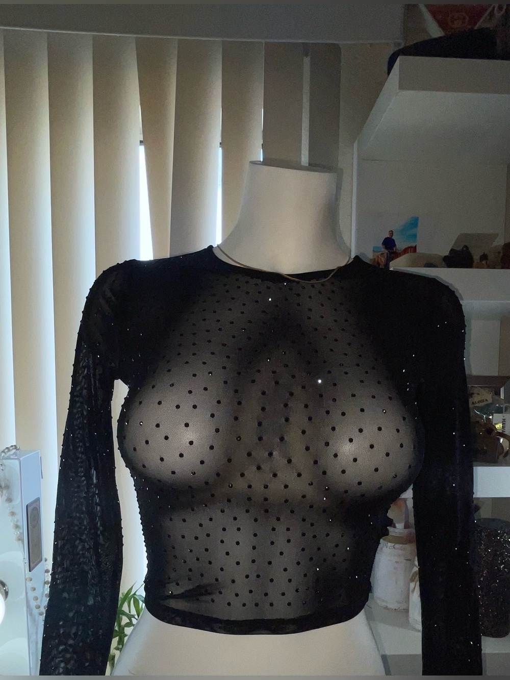 Windsor Black Sheer Polka Dot Long-Sleeve Crop Top
